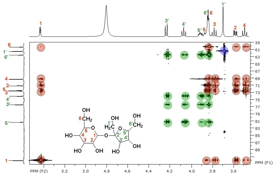 HSQC-TOCSY spectrum