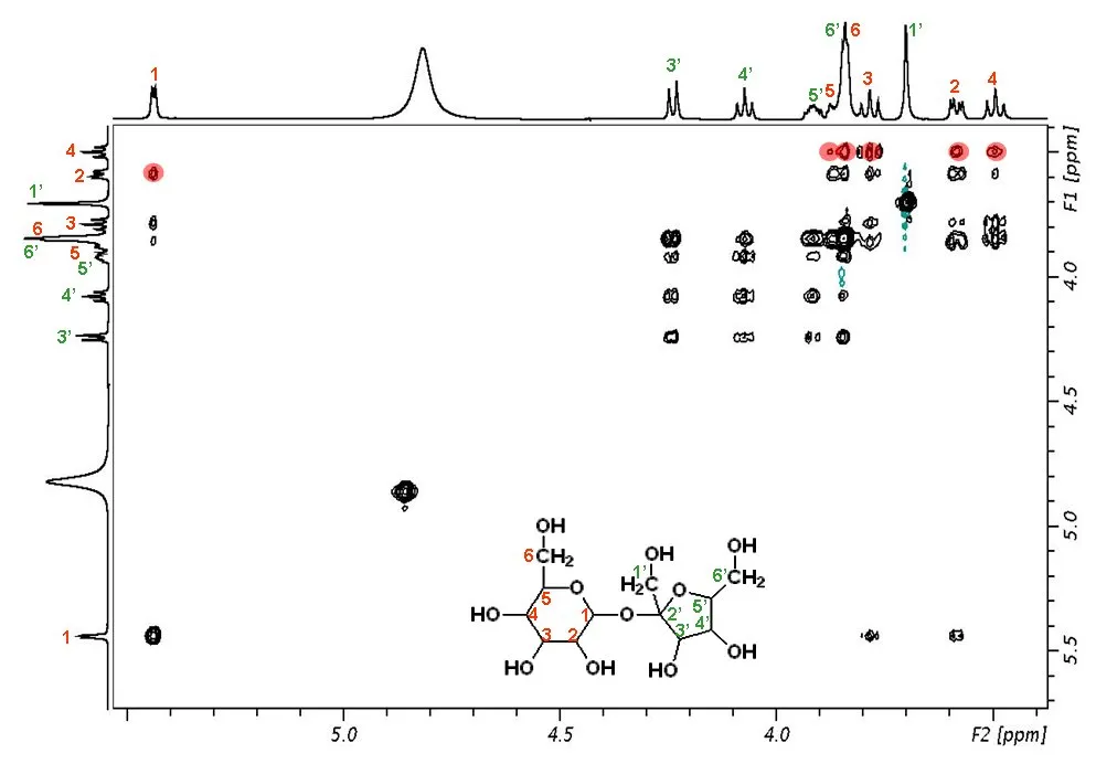 2D TOCSY spectrum